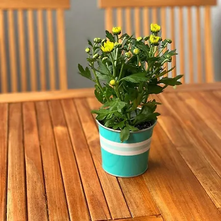 Dream In Arena 2 Center Free Parking Apartamento