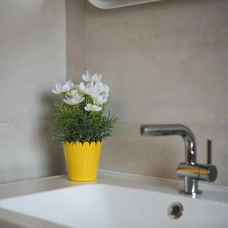 Dream In Arena 2 Center Free Parking * Pula