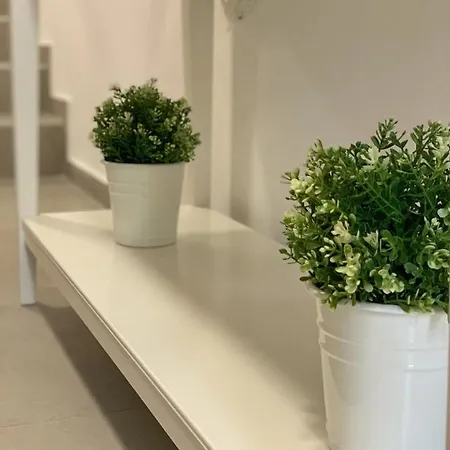 Dream In Arena 2 Center Free Parking 아파트 풀라