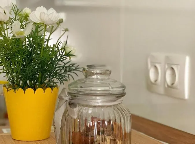 Dream In Arena 2 Center Free Parking Pula