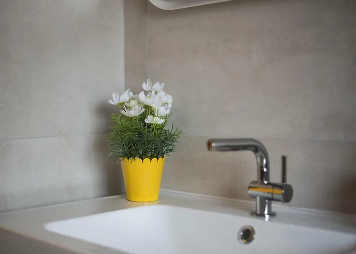 Dream In Arena 2 Center Free Parking * Pula